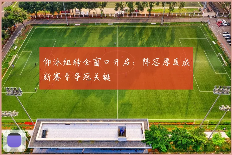 仰泳组转会窗口开启，阵容厚度成新赛季争冠关键